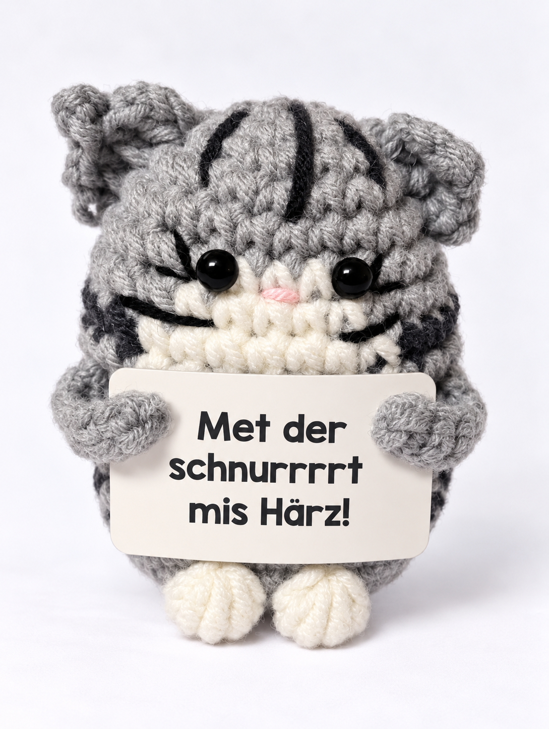 Schnurrsula 🐱
